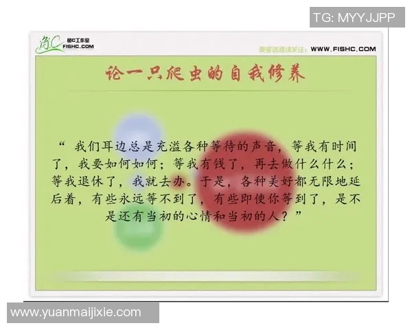 探索146真人的魅力与真实体验，揭示背后的故事与精彩瞬间