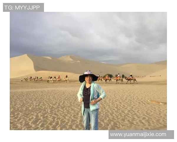 新月崛起的独特之路与沙超金元驱动的成功之道探讨